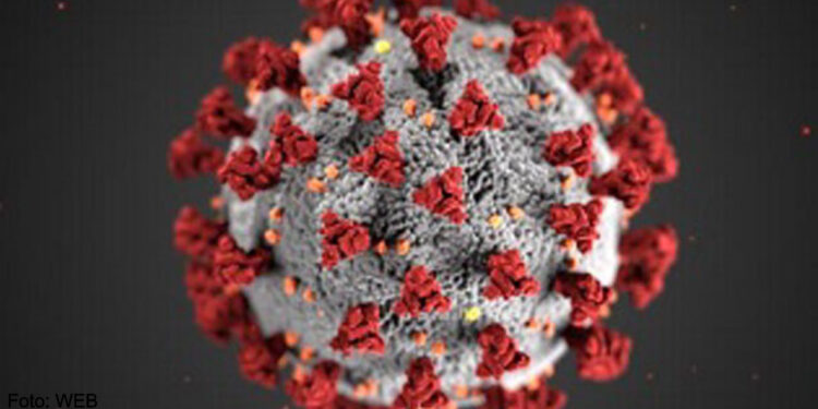 Portugal é o 7º país europeu com menos casos diários de Covid-19