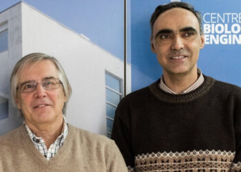 Universidade do Minho tem dois dos cientistas mais citados no mundo