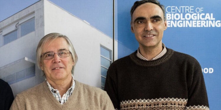 Universidade do Minho tem dois dos cientistas mais citados no mundo