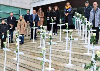 Vila Verde: 35 cruzes expostas assinalam violência contra mulheres