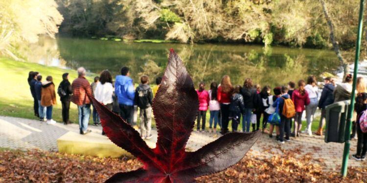 Vila Verde: Município mobiliza novas gerações para defesa das florestas naturais