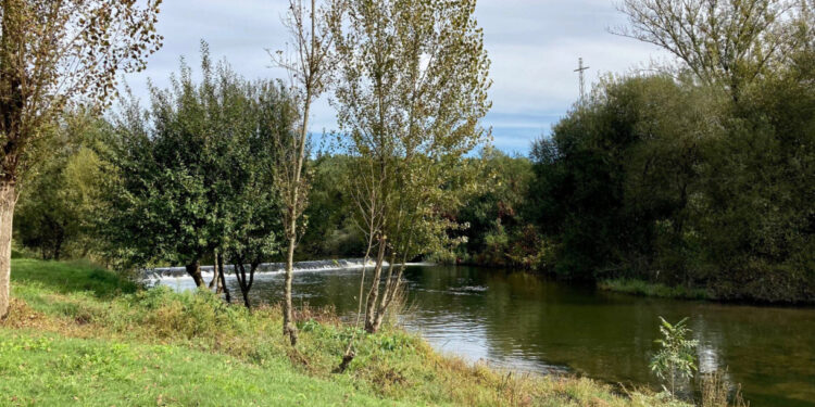 Governo reconhece problema no coletor do SIDVA no Parque Calça Ferros.