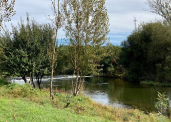 Governo reconhece problema no coletor do SIDVA no Parque Calça Ferros.