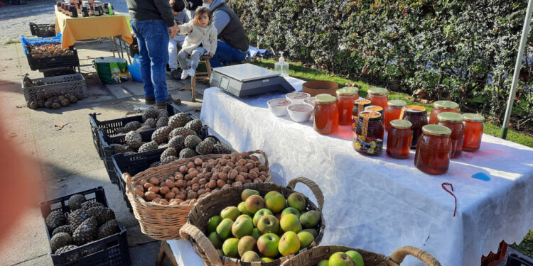 Vila Verde: Mercado de Natal instala-se no centro da Cidade
