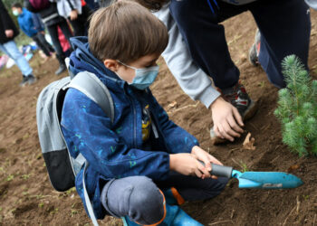 Projeto “30 mil árvores para 2030” já dá árvores