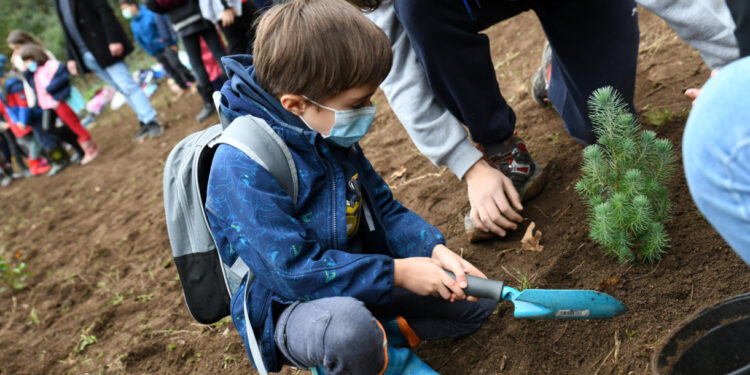 Projeto “30 mil árvores para 2030” já dá árvores