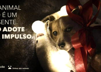 Município lança campanha para adoção de animais responsável