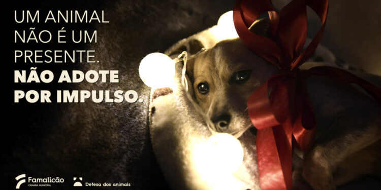 Município lança campanha para adoção de animais responsável