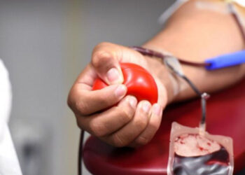 Instituto Português do Sangue apela à dádiva