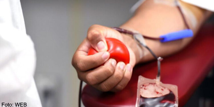 Instituto Português do Sangue apela à dádiva