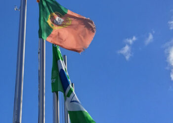 Didáxis hasteou uma vez mais a bandeira Eco-Escolas