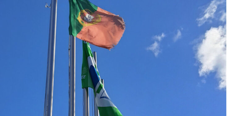Didáxis hasteou uma vez mais a bandeira Eco-Escolas