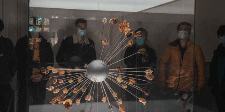 Alunos do 1º ano da OFICINA visitaram a Galeria de Biodiversidade da Universidade do Porto