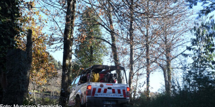 Combate à vespa velutina