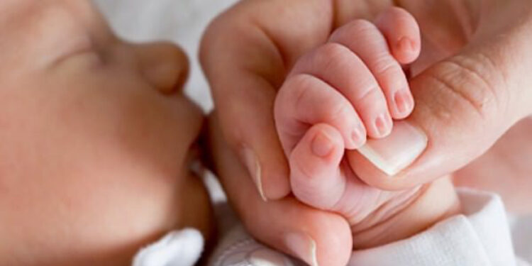 Vila Verde: Município institui apoio à natalidade