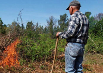 Estão proibidas as queimas e queimadas
