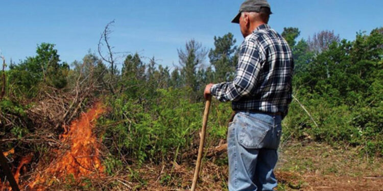 Estão proibidas as queimas e queimadas