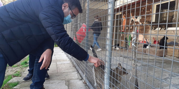 Bloco reforça compromisso com políticas de bem-estar animal no distrito de Braga