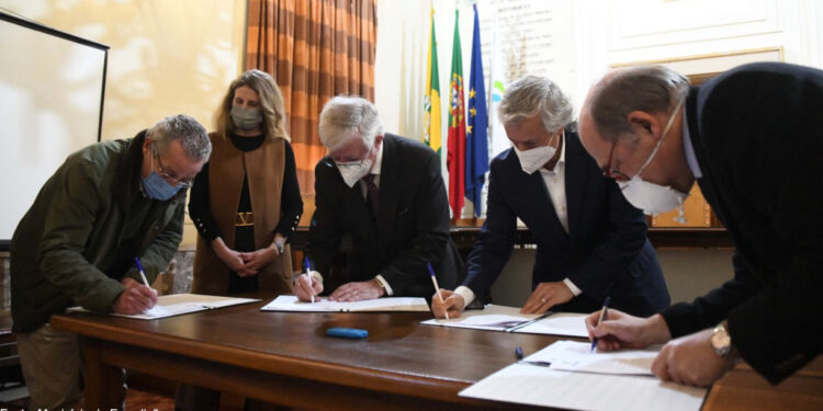 Terminal Ferroviário de Mercadorias da Península Ibérica mais próximo da realidade