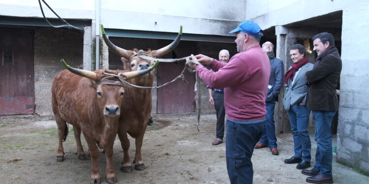 Intervenção «urgente e séria» no setor agrícola