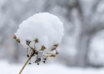 Como se proteger com segurança nos dias frios