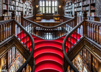 Livraria Lello: Um ex-líbris da cidade do Porto