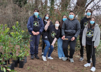 Greeners participam em ação de plantação de árvores