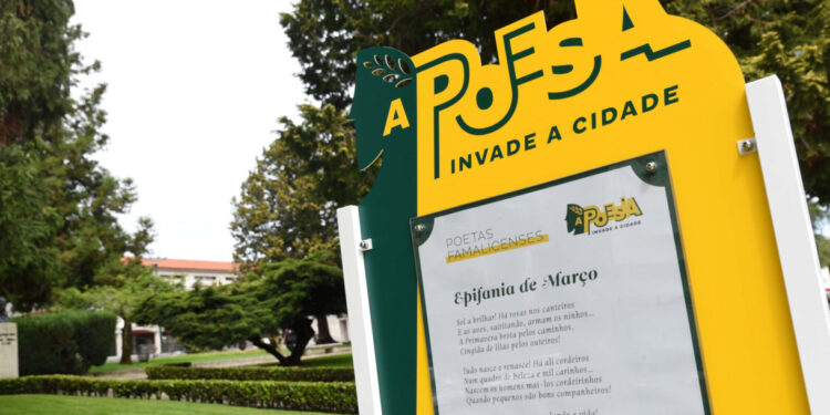 Programar em Rede com candidaturas abertas