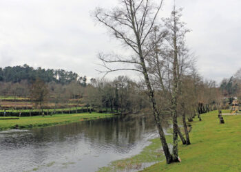 Município de Vila Verde reforça valorização ambiental de zonas ribeirinhas