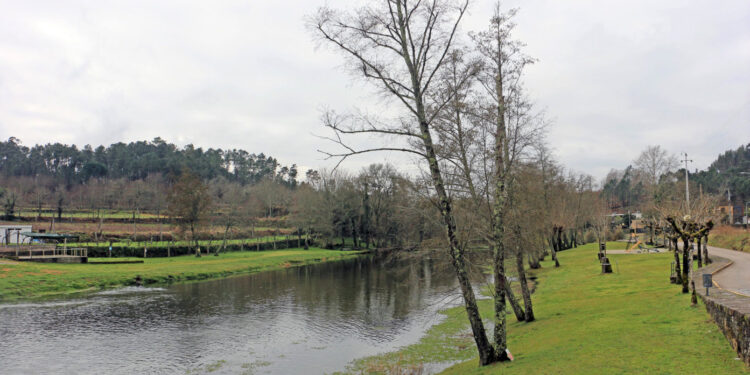 Município de Vila Verde reforça valorização ambiental de zonas ribeirinhas