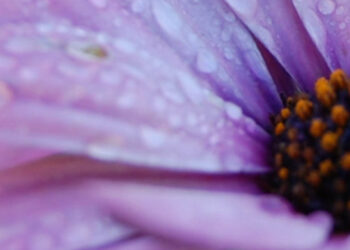 Aluno da OFICINA recebe Menção Honrosa no concurso de fotografia – “APROVEITAR +”