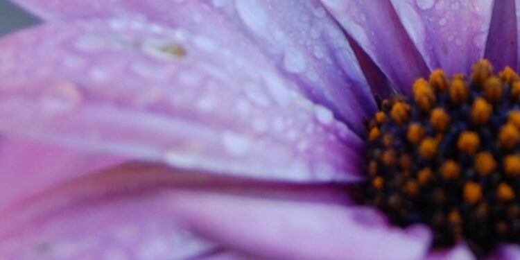 Aluno da OFICINA recebe Menção Honrosa no concurso de fotografia – “APROVEITAR +”