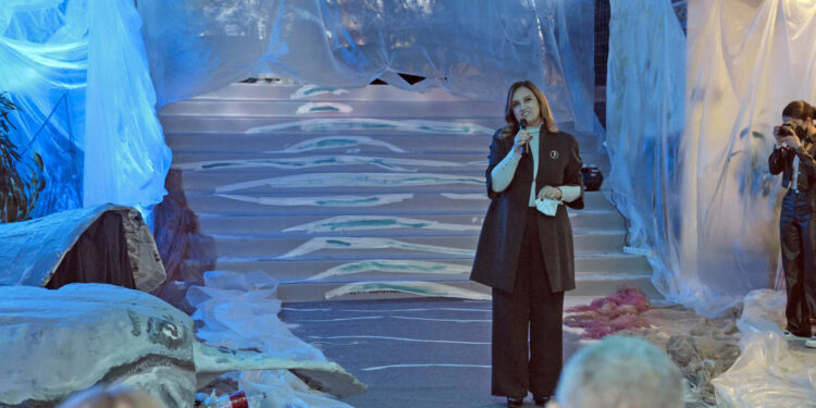 Vila Verde: Alunos usam moda para apelar à defesa dos oceanos 