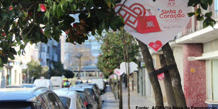 ACIF quer dinamizar comércio tradicional local após confinamento