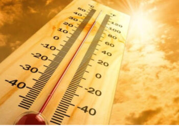 Ondas de calor provocam aumento da mortalidade