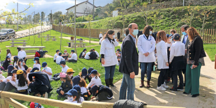 Vila Verde: Crianças deixam monte “mais verde”