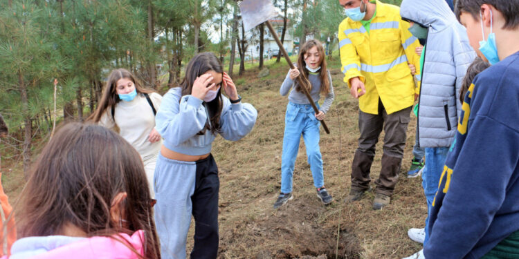 Vila Verde: Crianças deixam monte “mais verde”