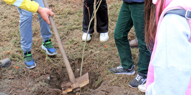 Vila Verde: Crianças deixam monte “mais verde”