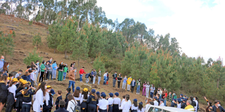 Vila Verde: Crianças deixam monte “mais verde”