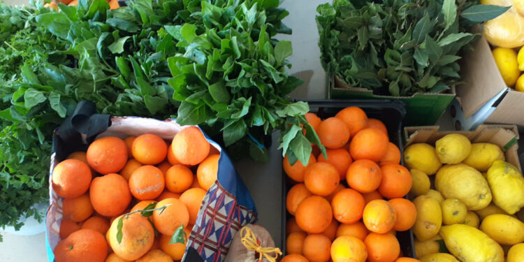 I Feirinha da Primavera na Escola de Ribeirão