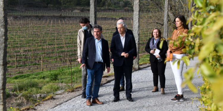 Carências e soluções em cima da mesa