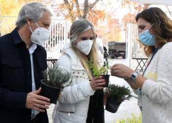 Município assinala Dia Mundial da Árvore