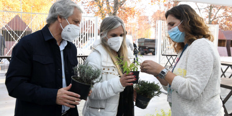 Município assinala Dia Mundial da Árvore