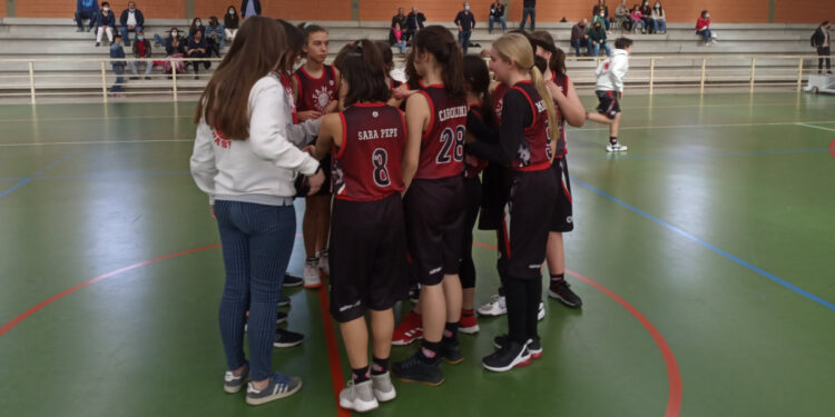 FamaBasket em ação com todos os escalões