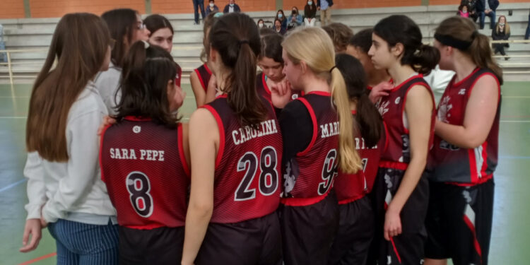 FamaBasket em ação com todos os escalões