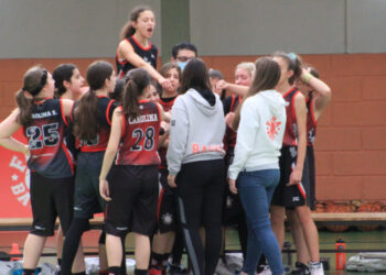 FamaBasket em ação com todos os escalões