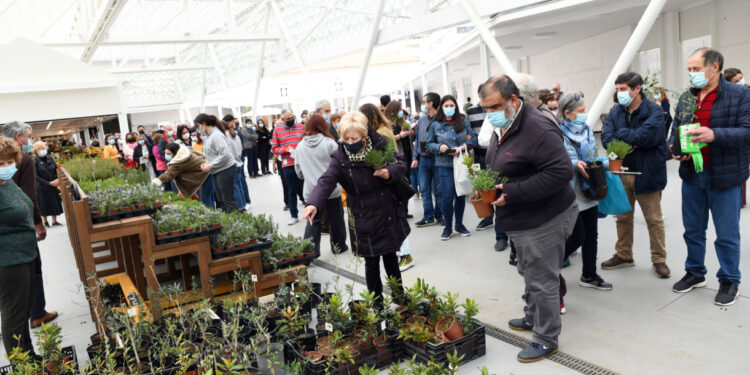 Famalicenses preocupados com o ambiente
