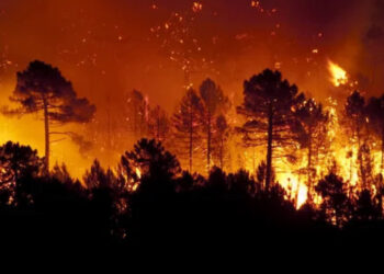 Concurso nacional “Com o fogo não se brinca”