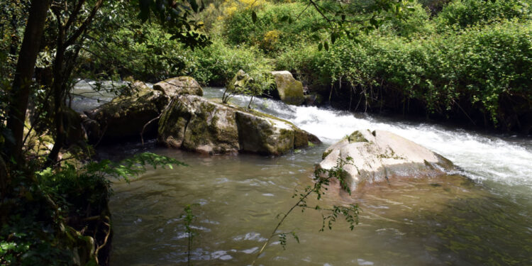 Nova vida para os rios