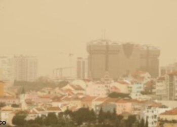 DGS alerta para os perigos das poeiras